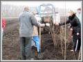 Облдержадміністрація на "Весняній толоці"